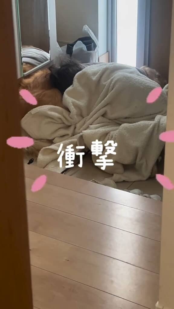 玄関で添い寝する息子と愛犬