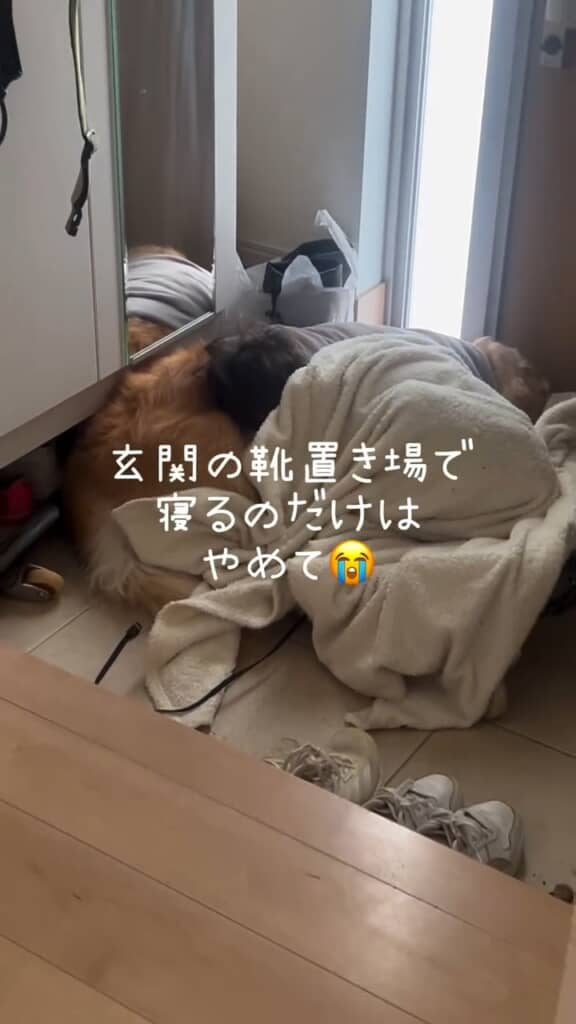 幸せそうだけど、場所がね……