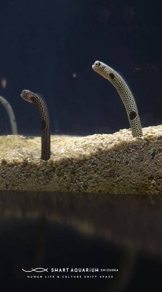 一瞬でクールダウン