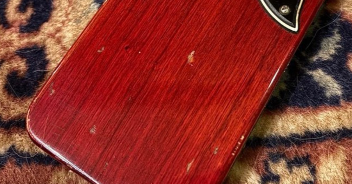 スマホケースをオーダーしたら……「こ……これは……！」　届いた驚きの商品に「めっっっちゃいい！」「秀逸」　制作者に話を聞いた（1/3） | カルチャー・アート ねとらぼ