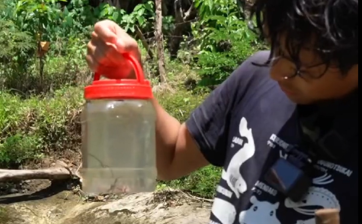 川で“不思議な生物”を捕獲→水槽に入れたら……　「わあああ!!」「すごい」予想外の光景に「驚きました」（1/3） | その他生き物 ねとらぼ