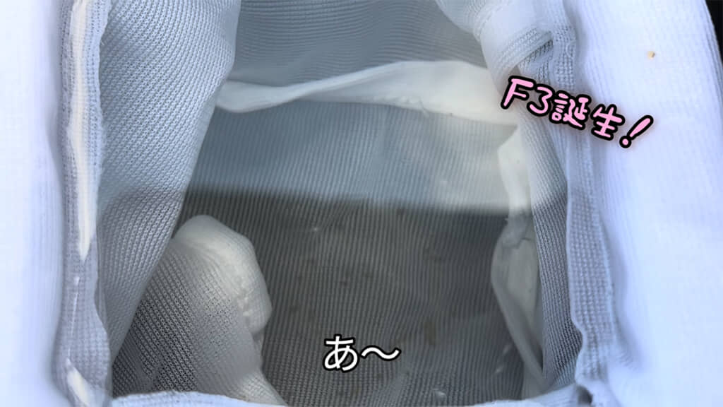 無事にF3が誕生しました！