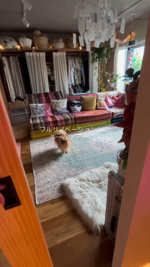 多彩なインテリアがちりばめられたリビング。あと、ちょくちょくフレームインするワンちゃんがかわいい