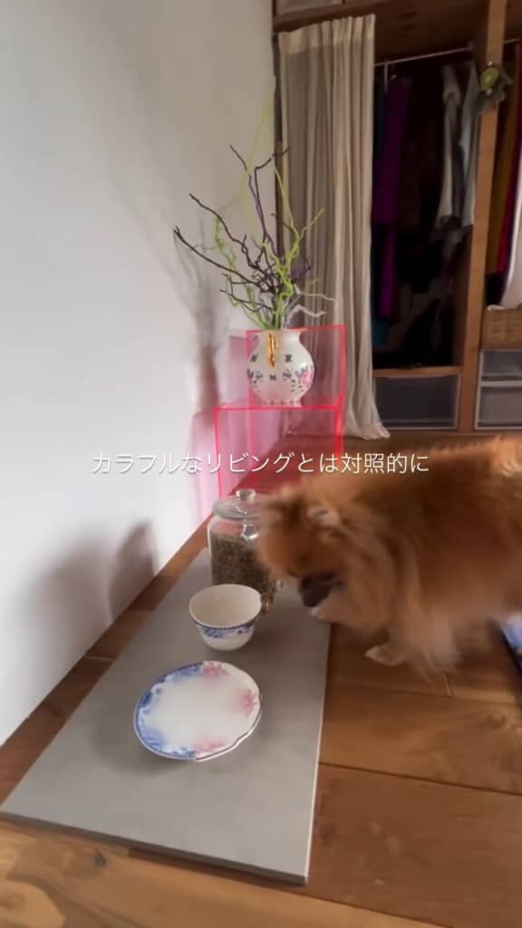 ワンちゃんの食事場まで華やか