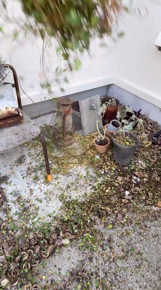 置いてあった小物たちが出現