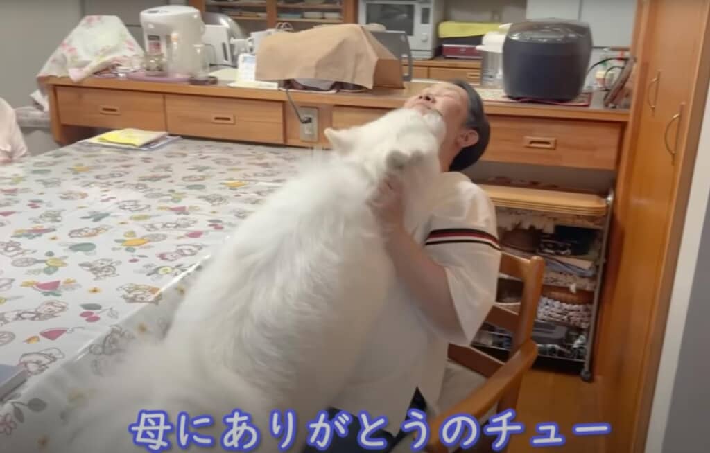 お母さんに「ありがとう」のペロペロ攻撃