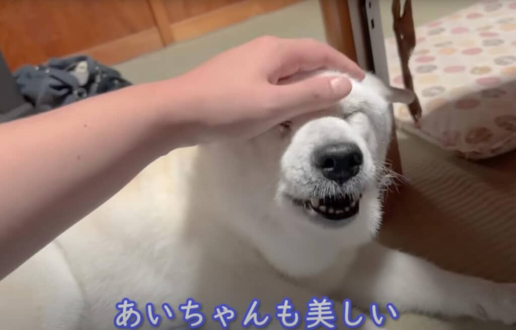 さらに美人さんになったあいちゃん