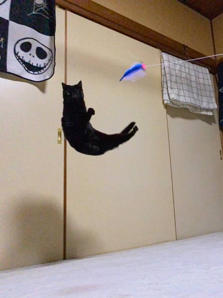 奇跡的にとらえた「し」のポーズ