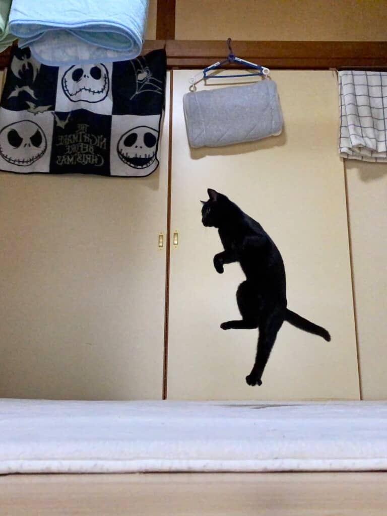 人間には見えない階段を登っているかのような姿