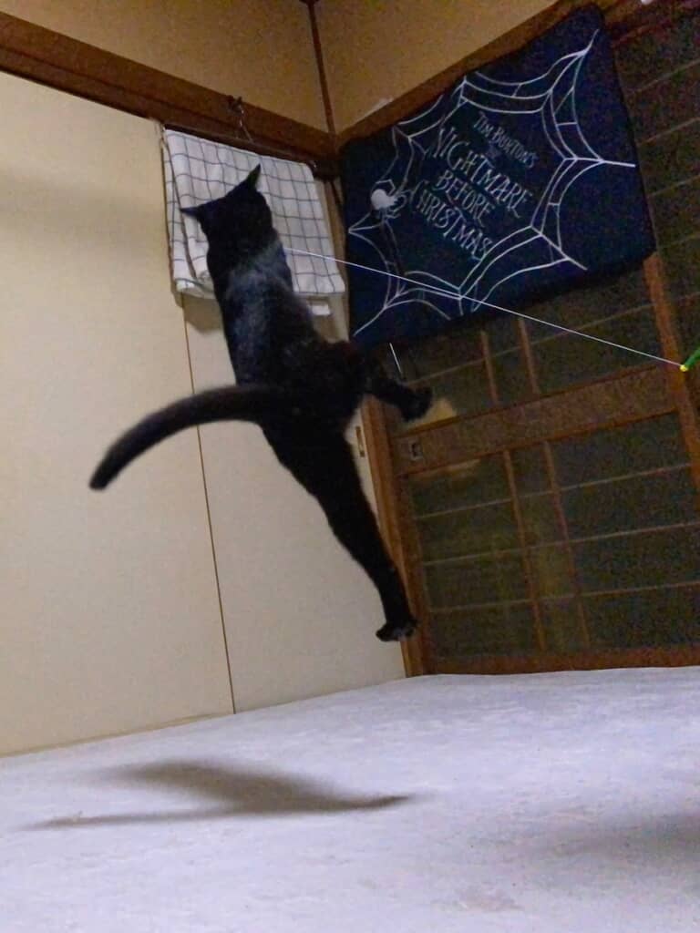 人間には見えない階段を使って、おもちゃにアタック……？