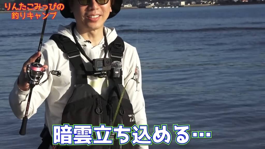 最初のヒットは藻でした