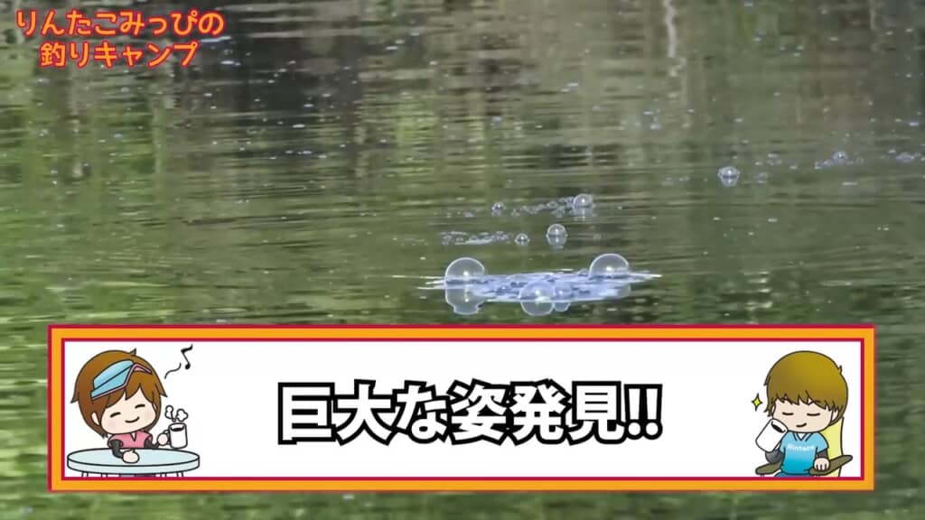 今度はりんたこさんの前に大きな魚影