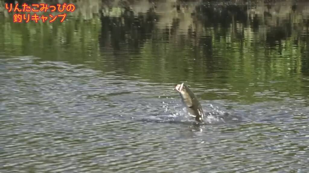 かかった大物は……なんだこいつ！