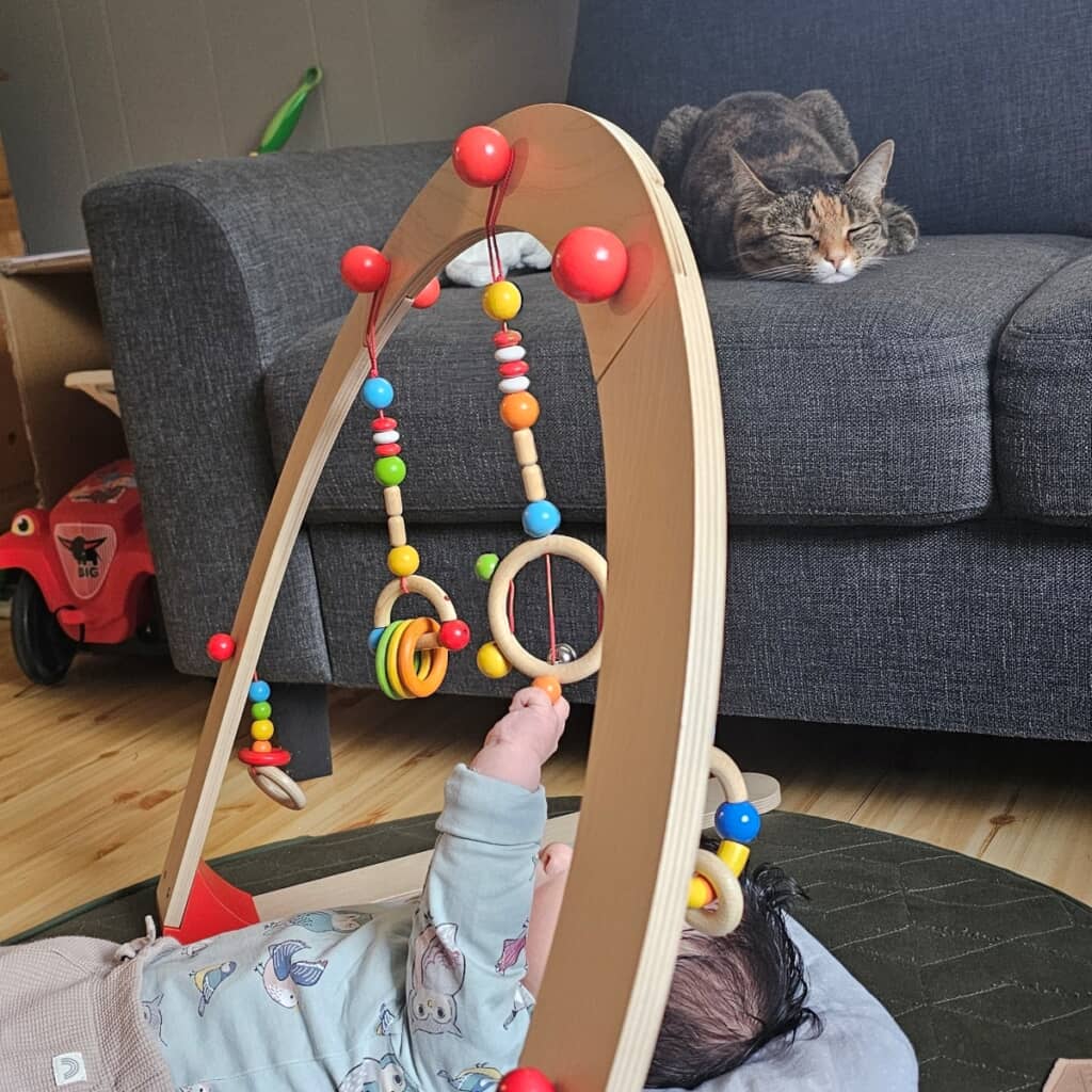 次男くんのお守りをお願いしたのにやる気のない猫ちゃん