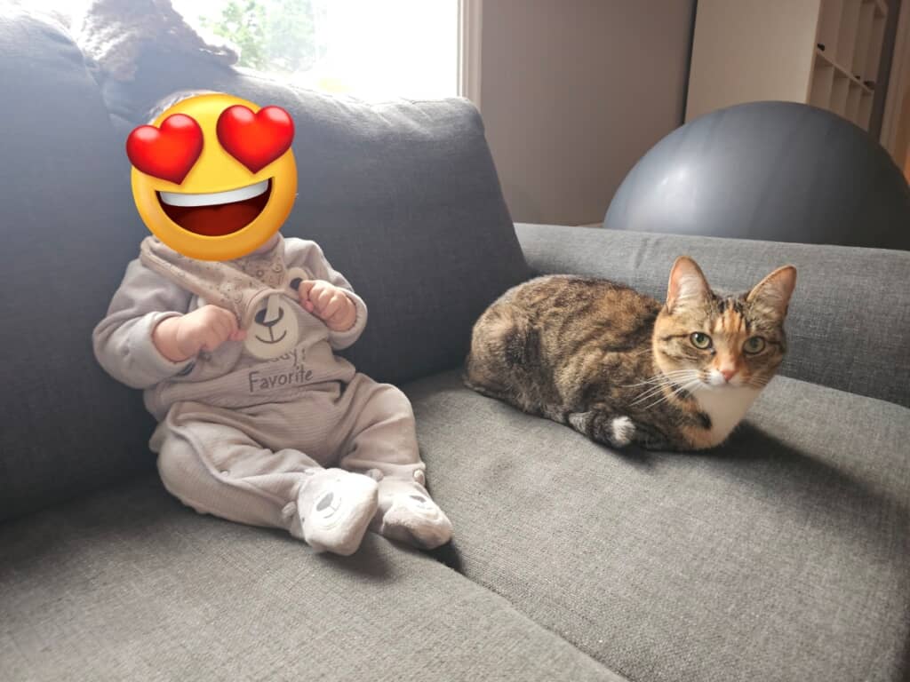 長男くんが眠った後、ママさんと一緒に寛ぐふたり