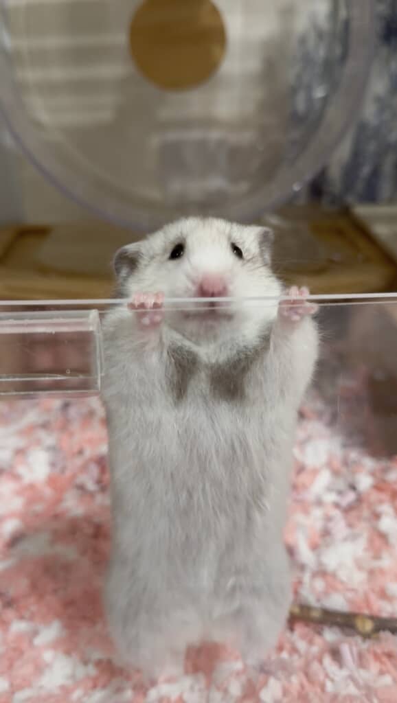 表情がまた良い
