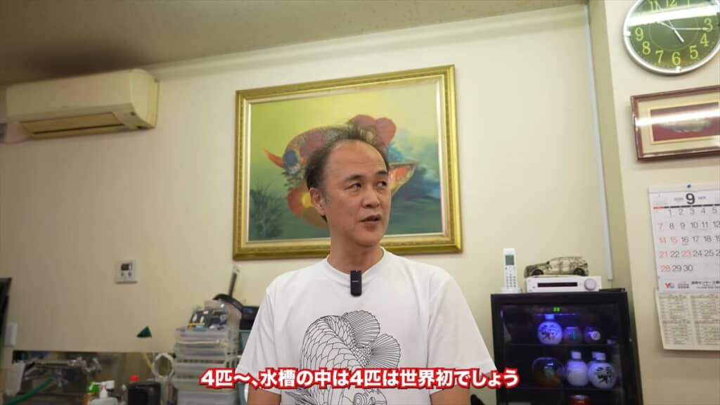 アルビノのアロワナを水槽で繁殖させた「ラフレシア」オーナーのフクイさん