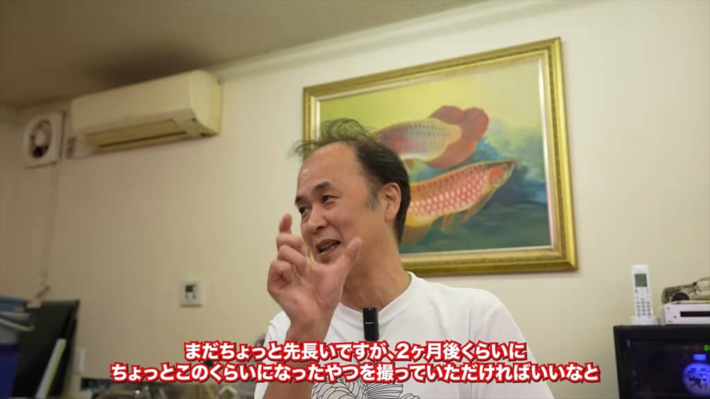 アルビノのアロワナを水槽で繁殖させた「ラフレシア」オーナーのフクイさん