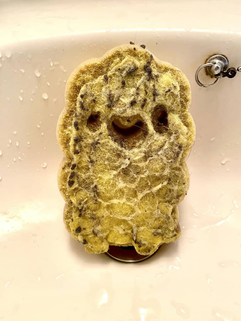 闇堕ちした……？