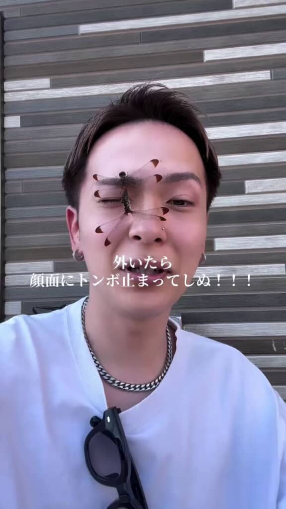 外にいたらトンボが2匹顔に泊まった