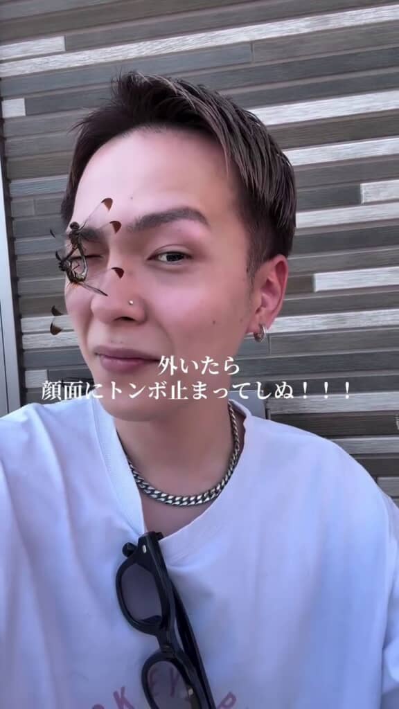 交尾中のトンボ2匹が顔から離れてくれない