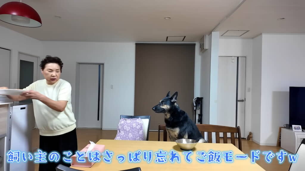 ごはんの時間になるとテーブルに