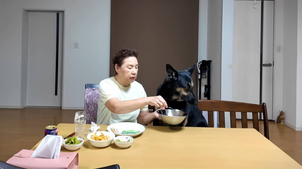 食べさせようとしてもそっぽ