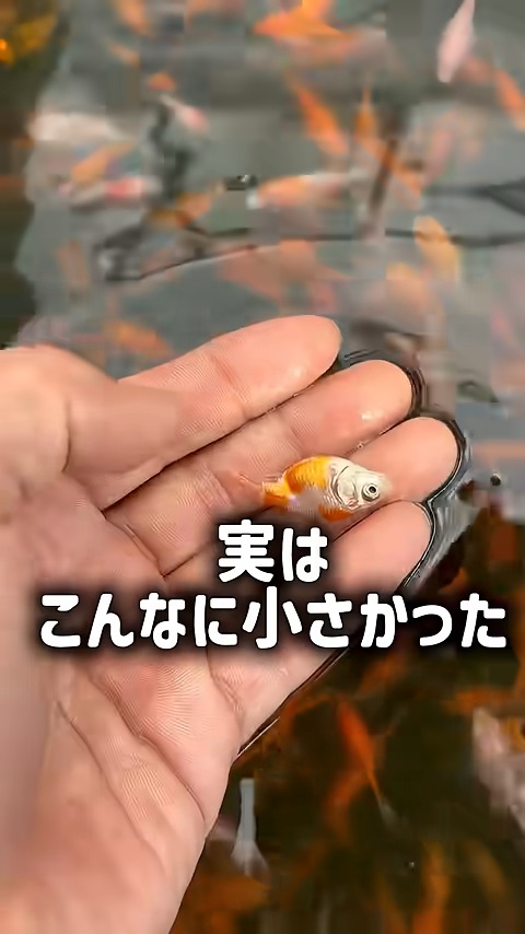 小さすぎませんか？