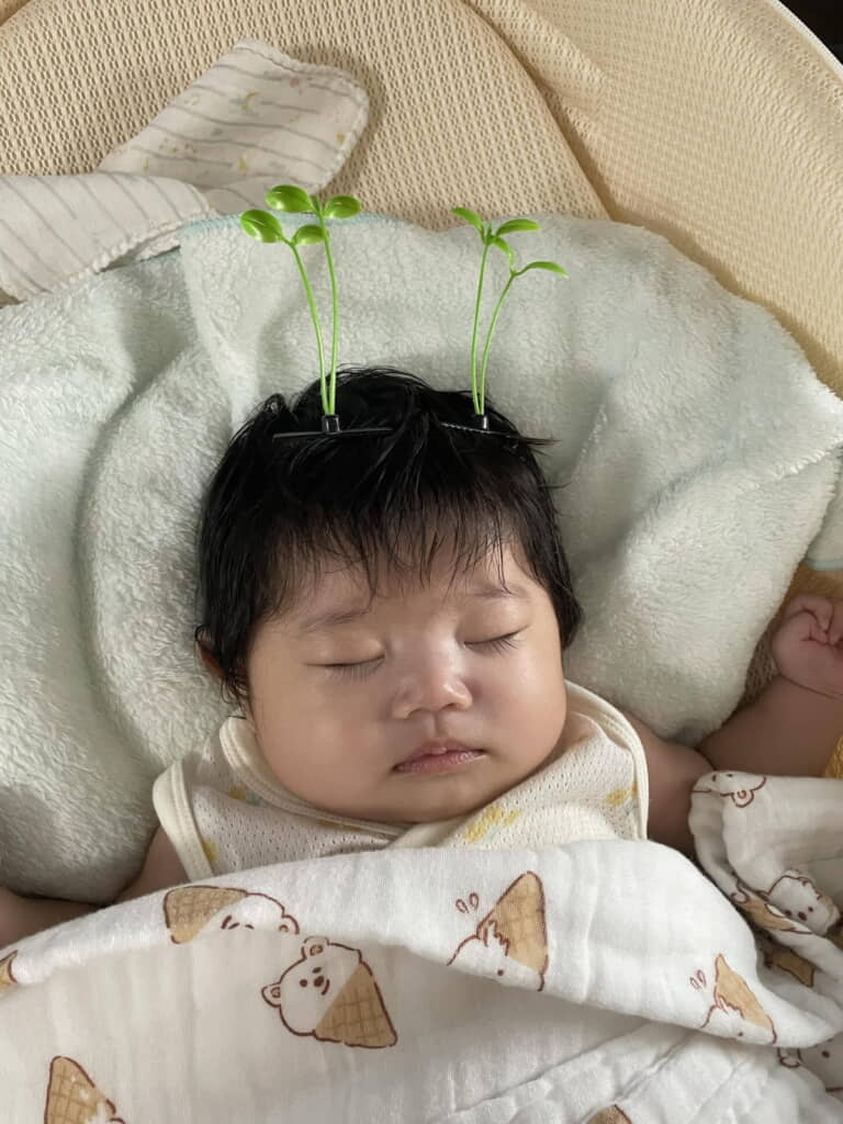 なんか生えている！