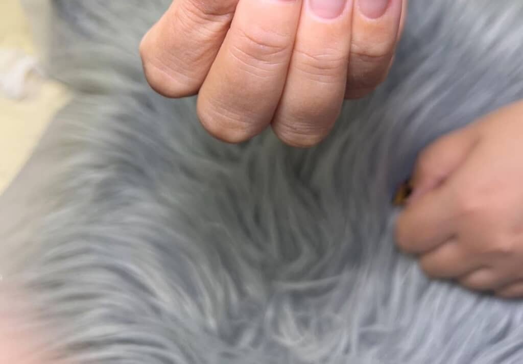 ネイリスト歴15年の男性が爪に描いたのは……？