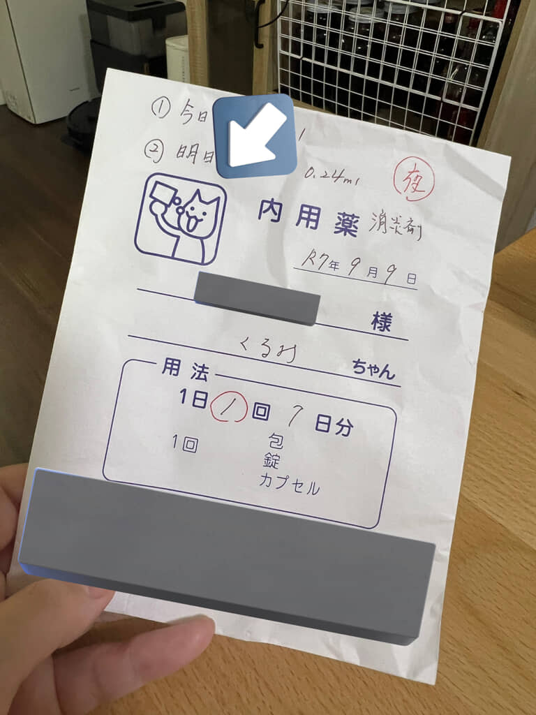 猫ちゃんが自分で薬飲んでる！