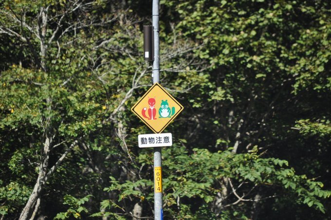赤色のキツネと緑色のタヌキが描かれた標識の画像