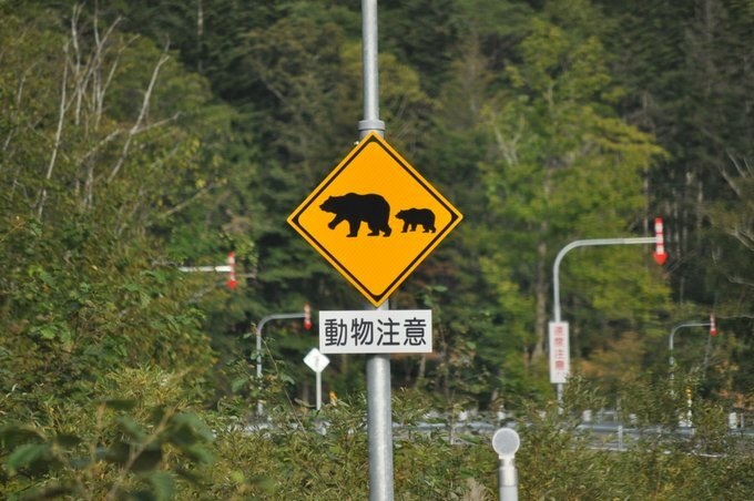 クマの親子の標識の写真