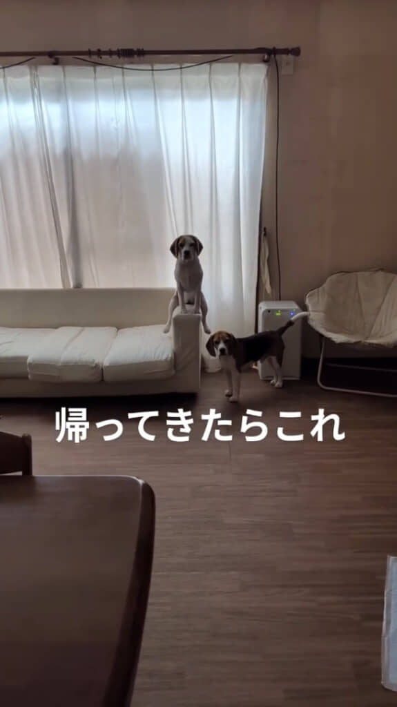 まさかの無反応……!?