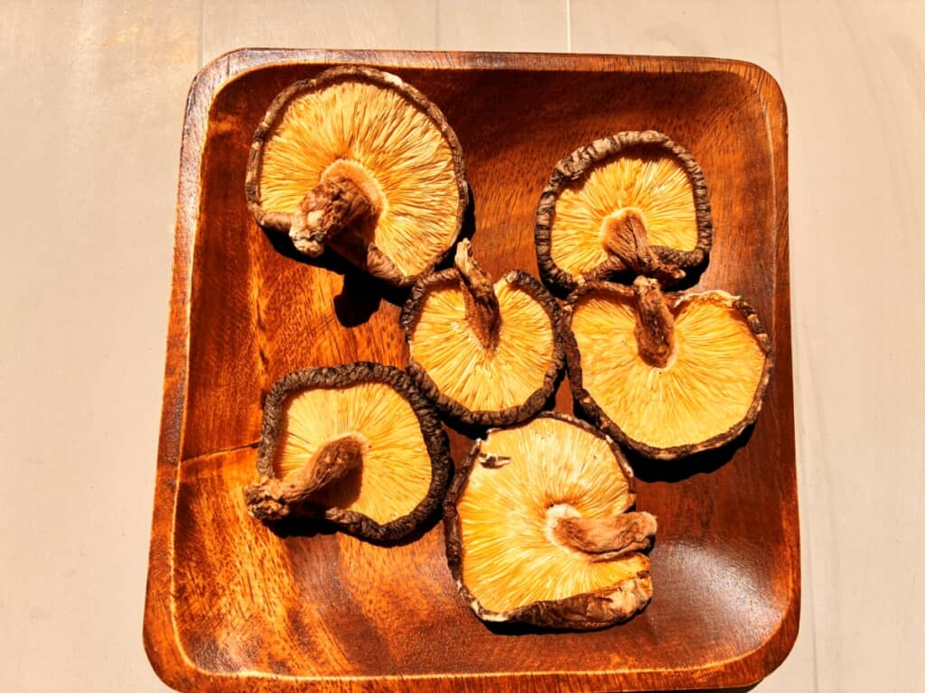 干ししいたけを並べて太陽に当てます