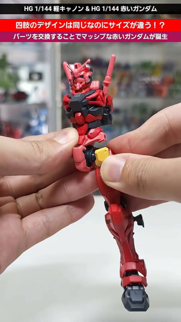 力強い下肢に変身