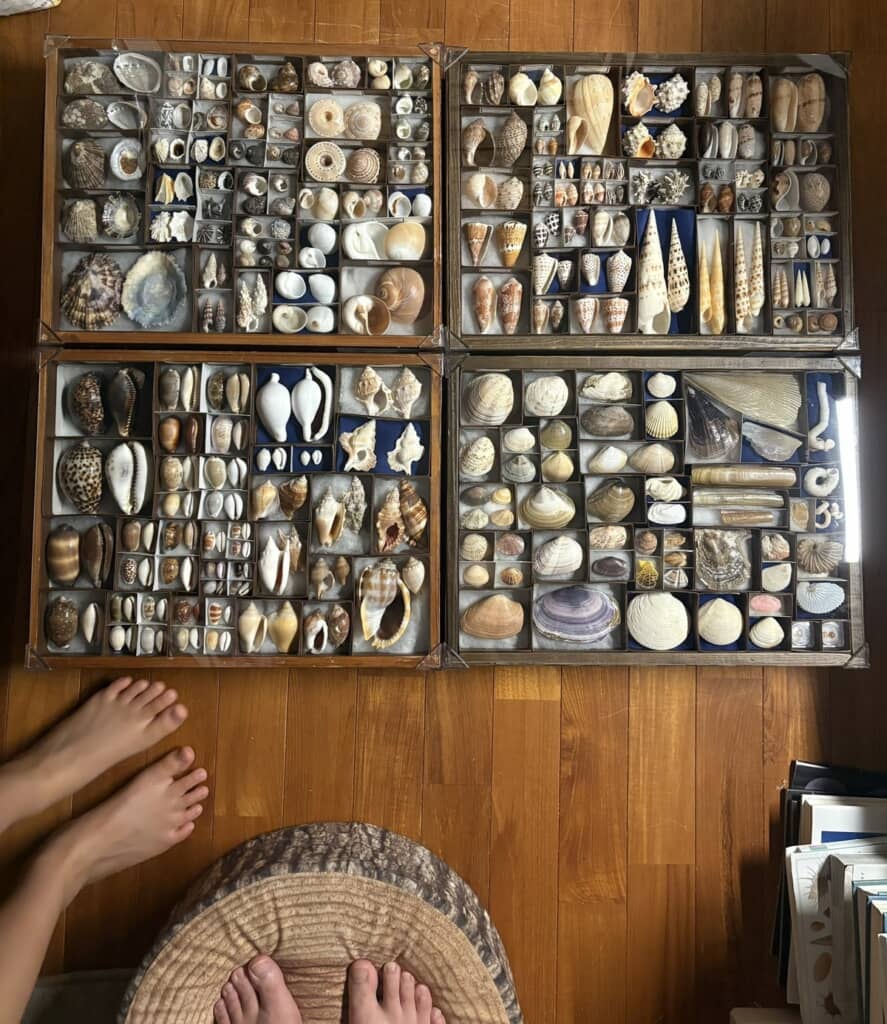 うわぁ！」海で本気出した親子の“自由研究”が100万表示突破 激