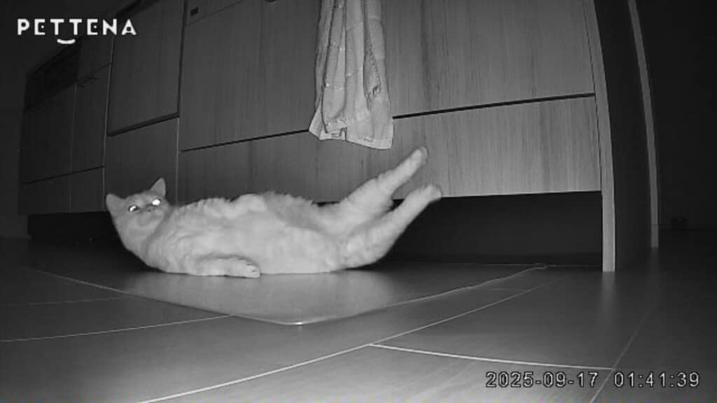 まさかのポージングを披露！