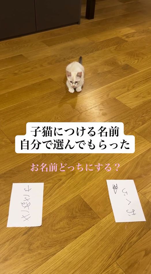 名前を自分で選んでもらうことに