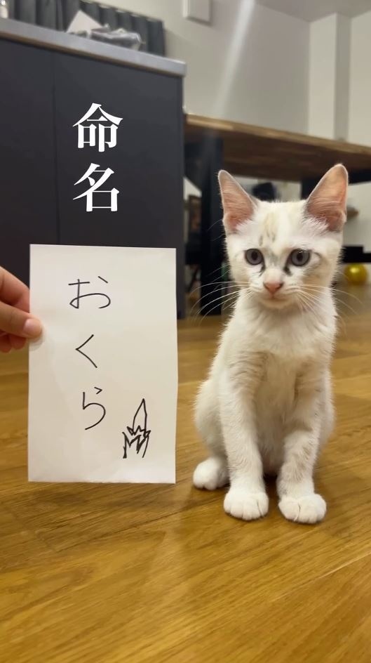 命名・おくらちゃん
