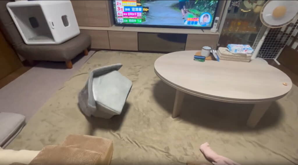 こっち来たぁああ!!!!