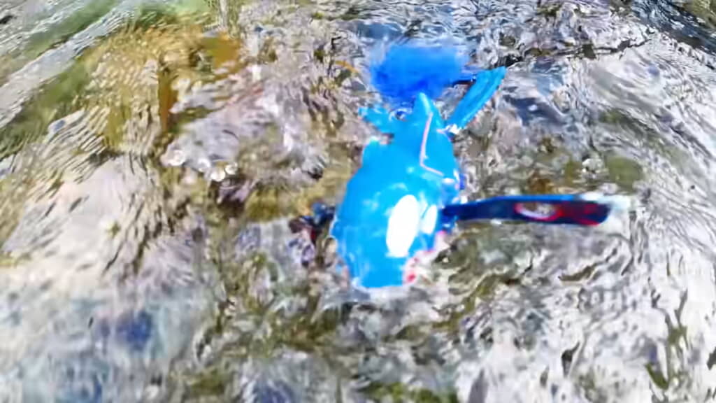 パタパタするカイオーガ