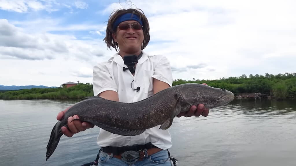 ついに大きなライギョが釣れた！