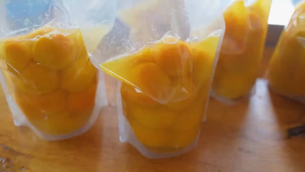 この状態でしばらく冷蔵庫で保管