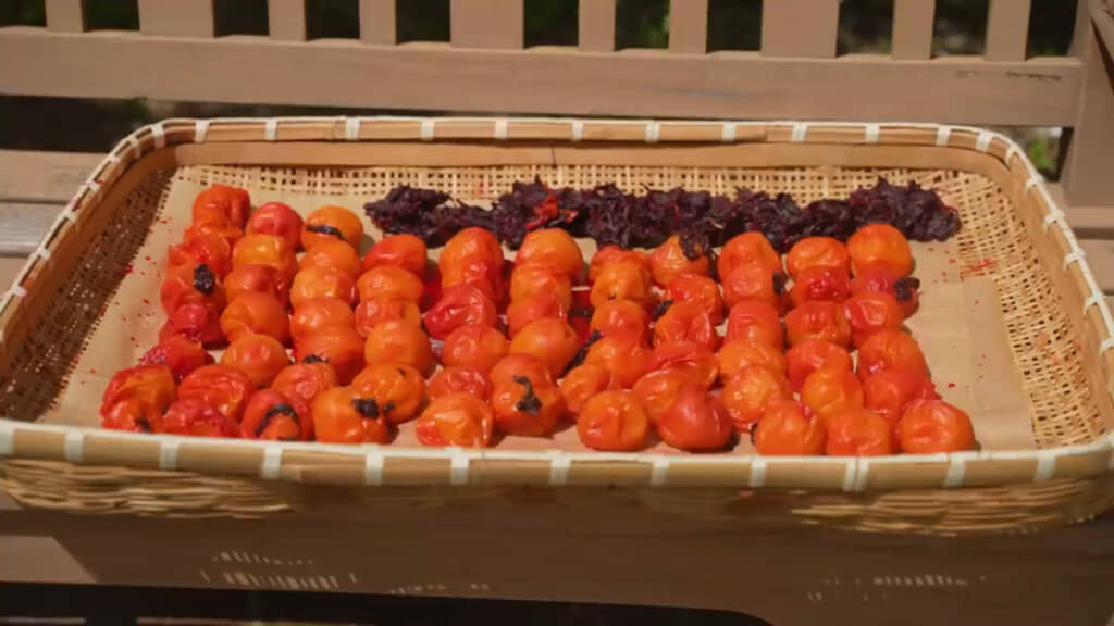 庭にあるベンチで天日干しする様子