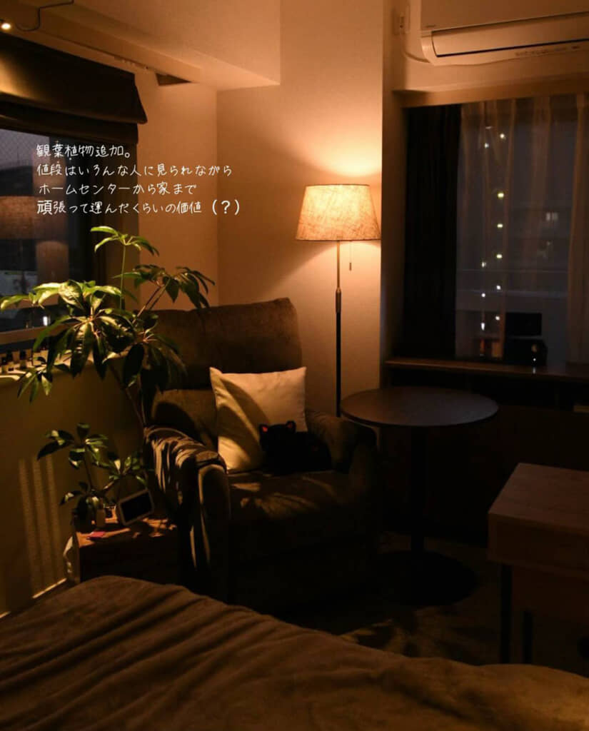 観葉植物を追加