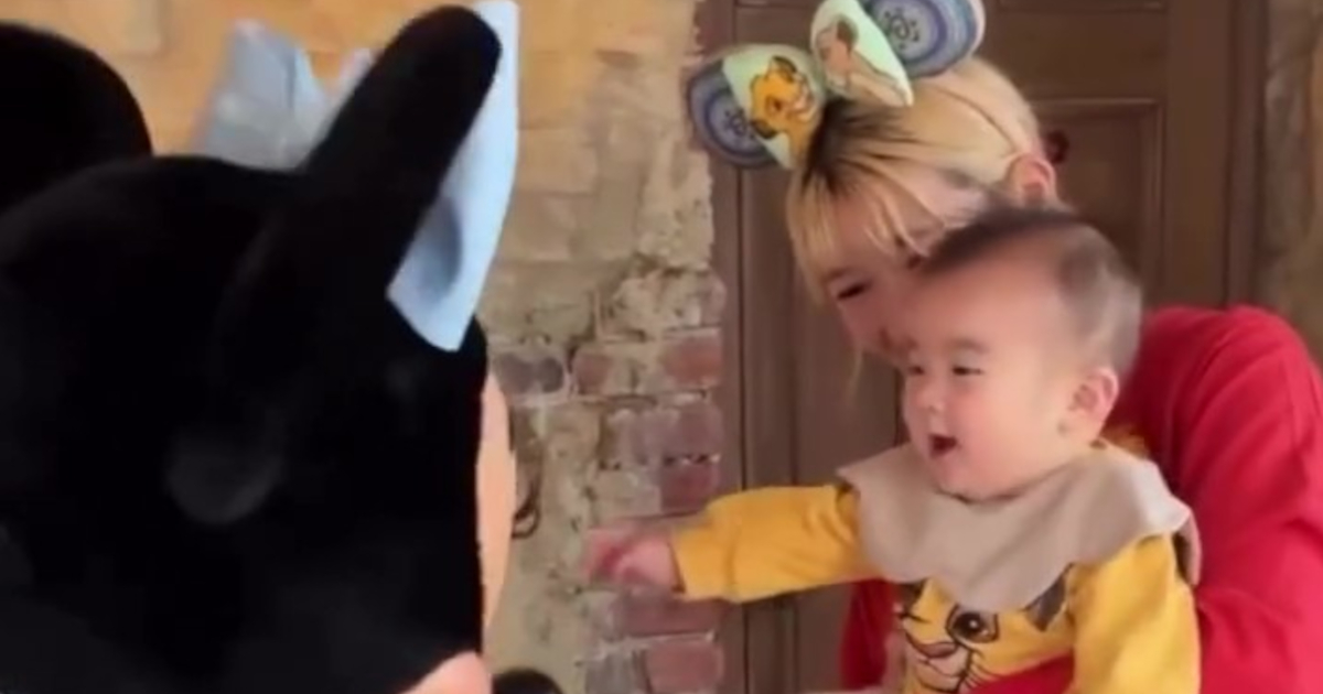 生後7カ月の赤ちゃん、グリーティングで大好きなミニーに会うと……　「キュン死しちゃう」　131万再生の尊すぎる光景に「一生見てられる」（1/3） | 育児 ねとらぼ