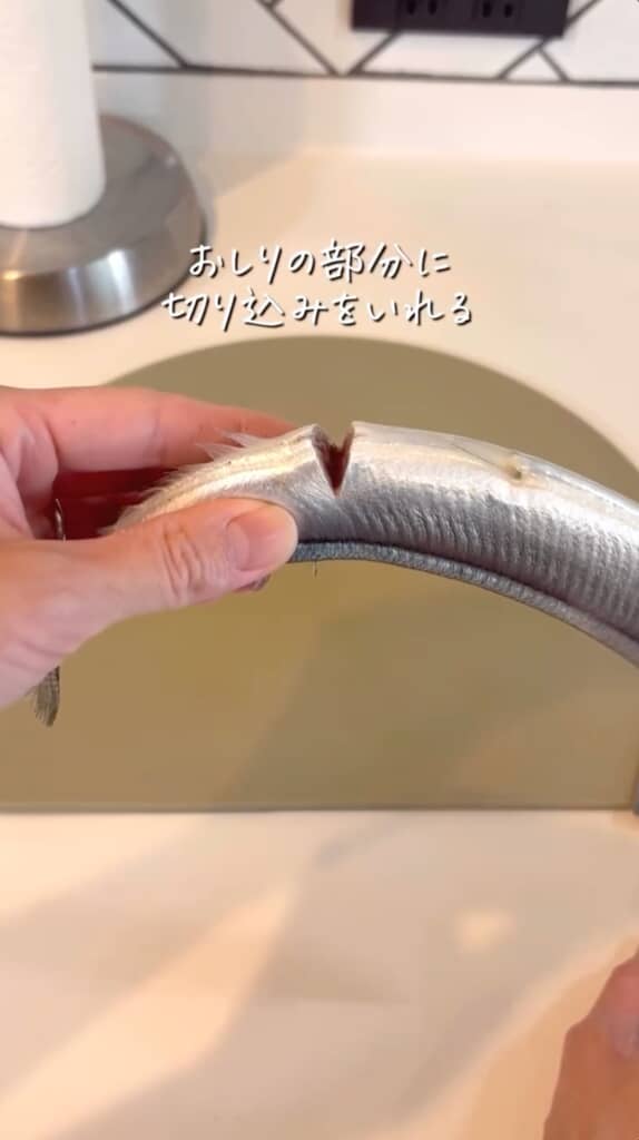 背骨が当たるのを意識して切り込みを入れると良いかも？