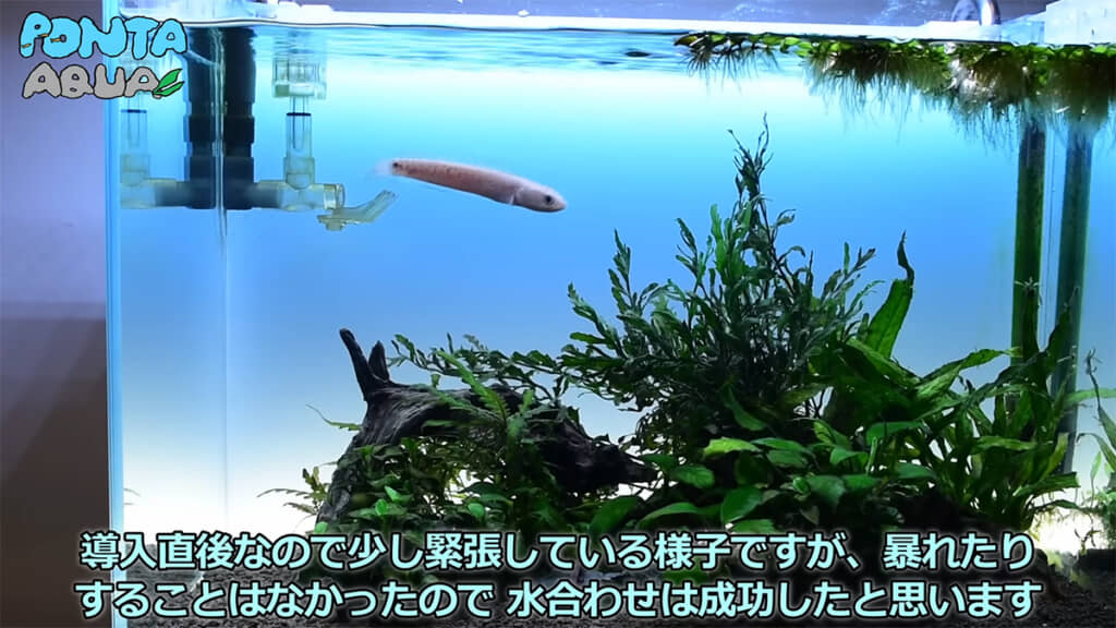 最初は緊張している様子だったそうです