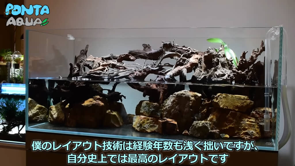 自分史上最高のレイアウトになったそうです